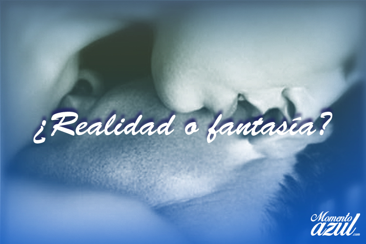 realidad o fantasia
